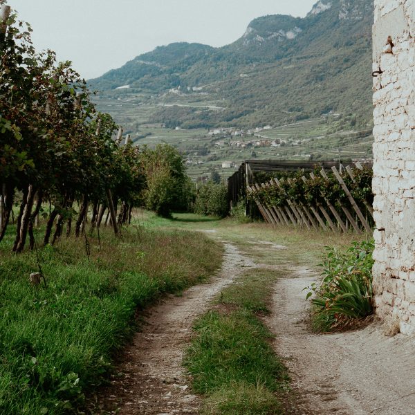 A Natural Wine Weekend in Sicily: Sun, Skin Contact & Sea Air