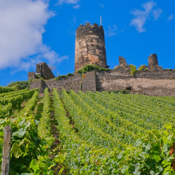 Best Natural Wineries in Spain: Where to Visit for Pure, Authentic Wines