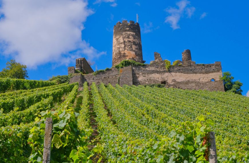 Winery Guides 19 Best Natural Wineries in Spain: Where to Visit for Pure, Authentic Wines